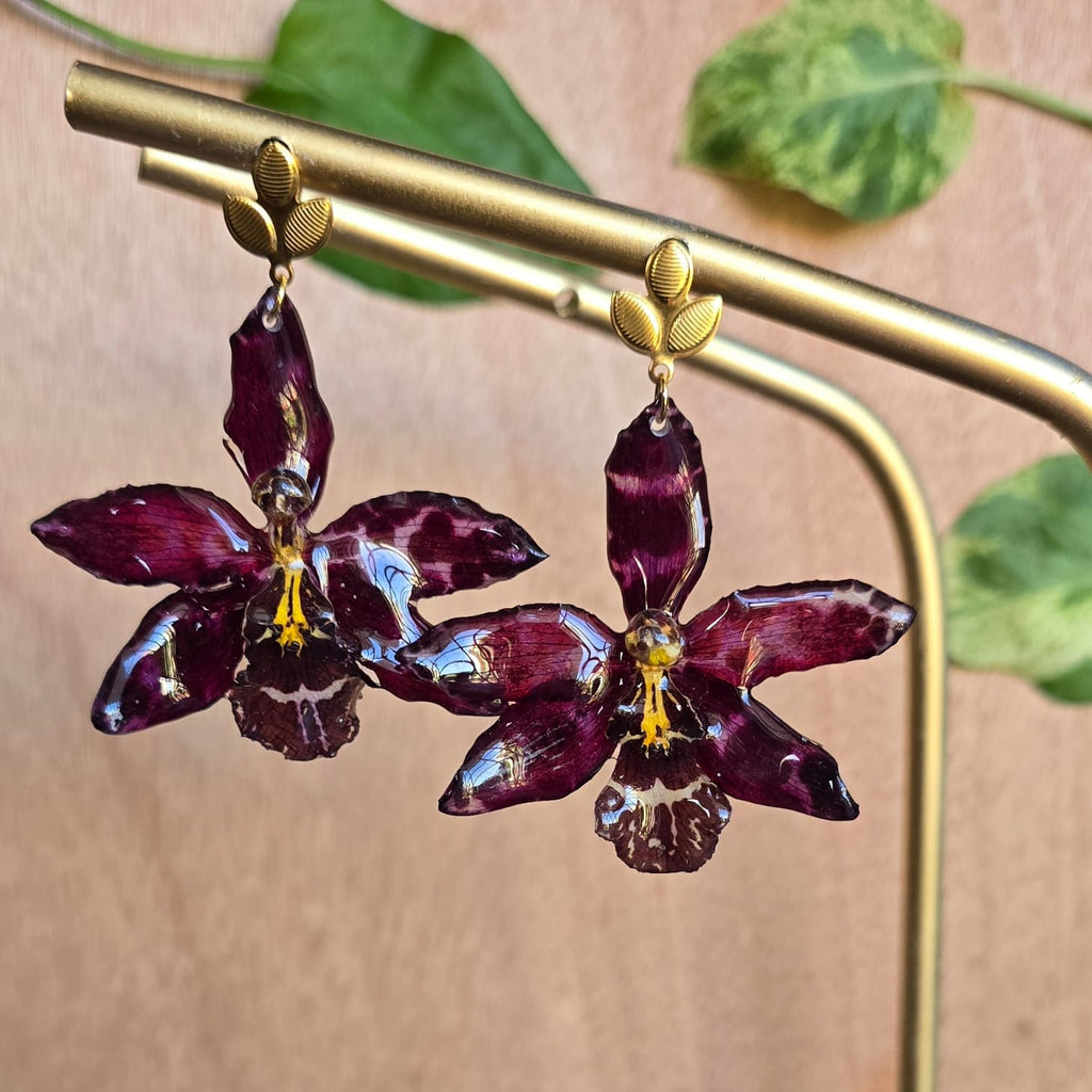 Aretes Odontoglossum