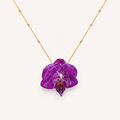 Collar orquídea Phalaenopsis
