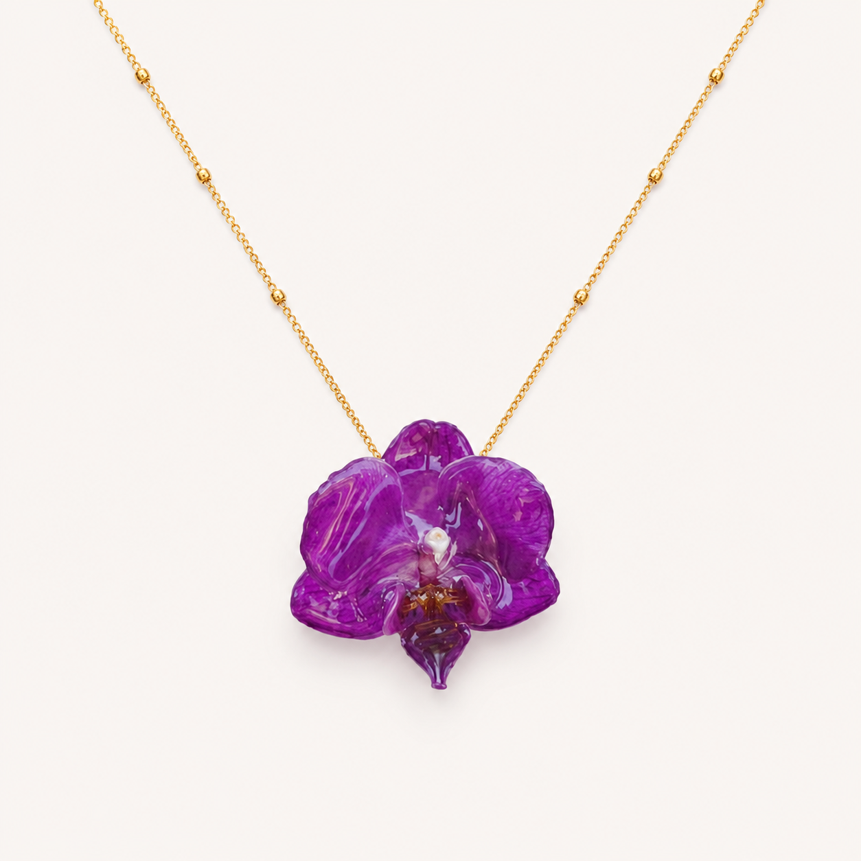Collar orquídea Phalaenopsis