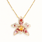 Collar orquídea Odontoglossum