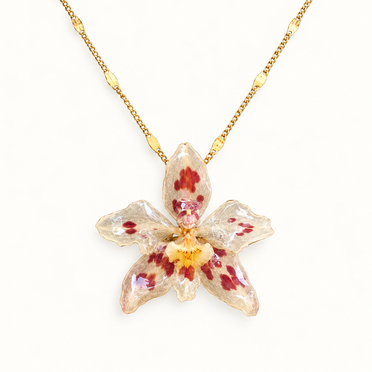 Collar orquídea Odontoglossum