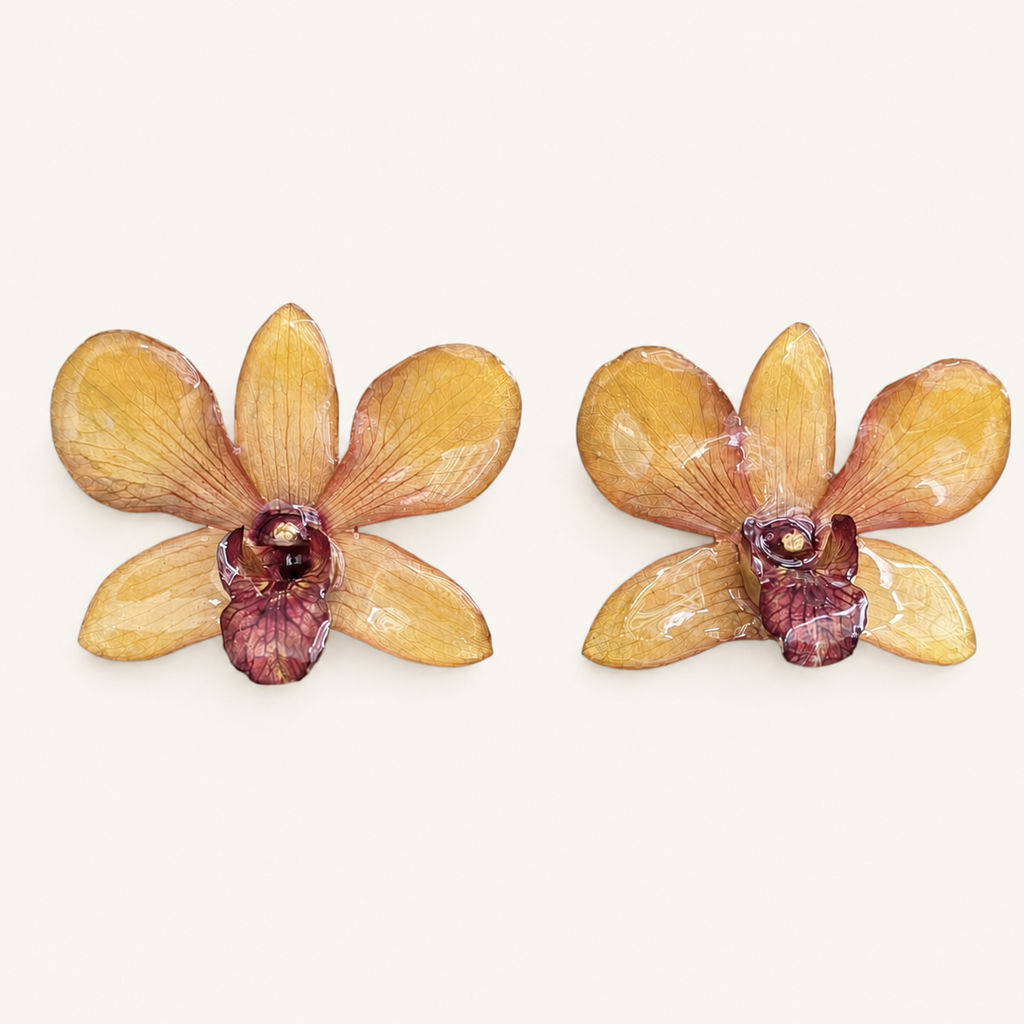 Topos Dendrobium