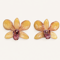 Topos Dendrobium