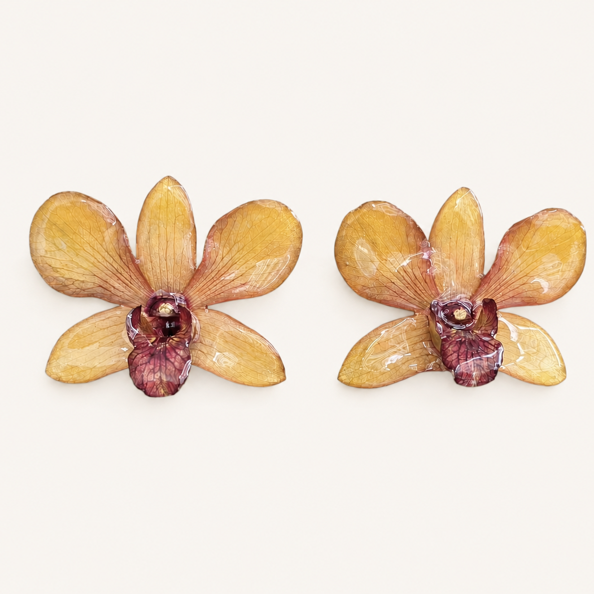 Topos Dendrobium