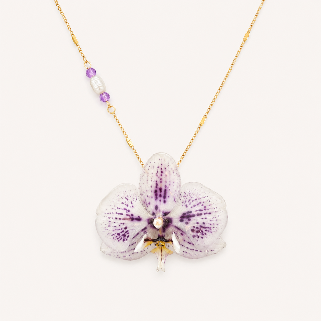 Collar orquídea Phalaenopsis
