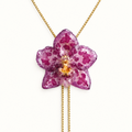 Collar ajustable orquídea Odontoglossum