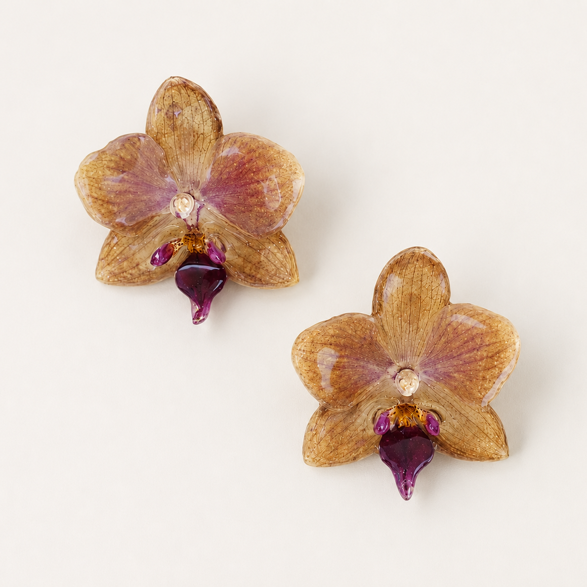 Topos orquídea Phalaenopsis