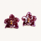 Topos orquídeas Odontoglossum