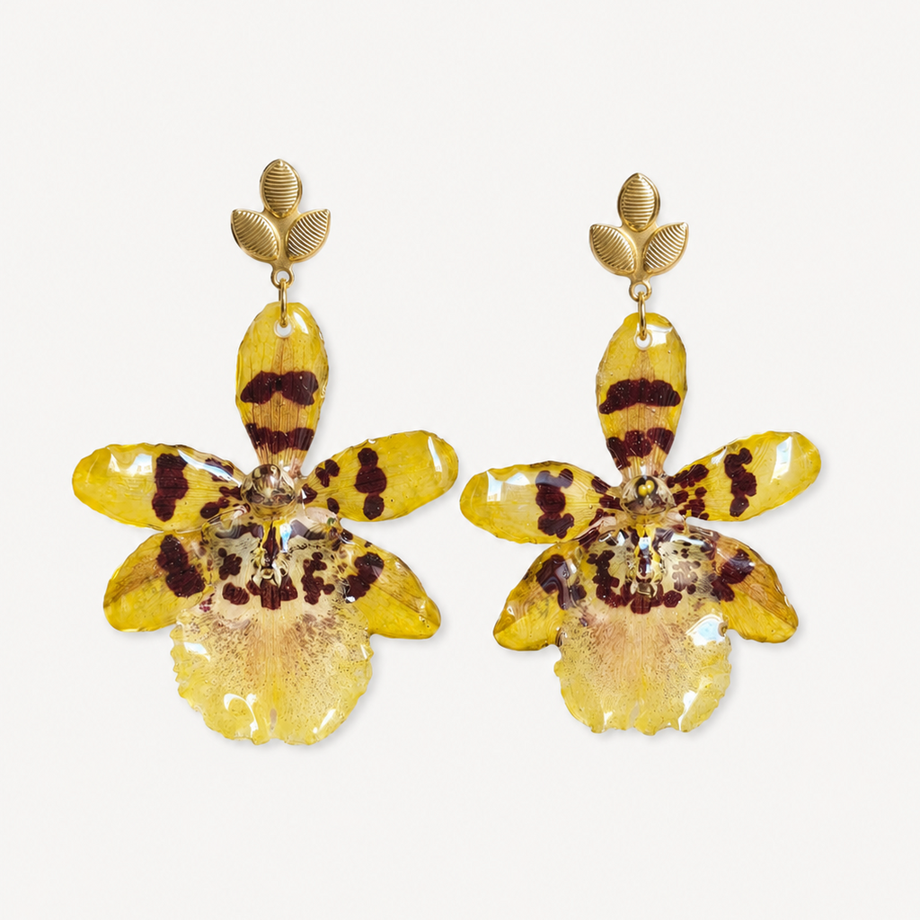 Aretes orquídea Colmanara
