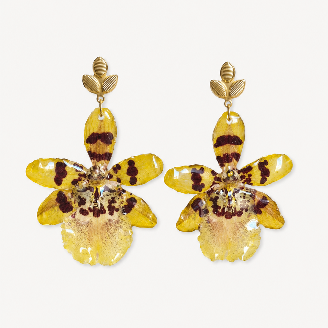 Aretes orquídea Colmanara