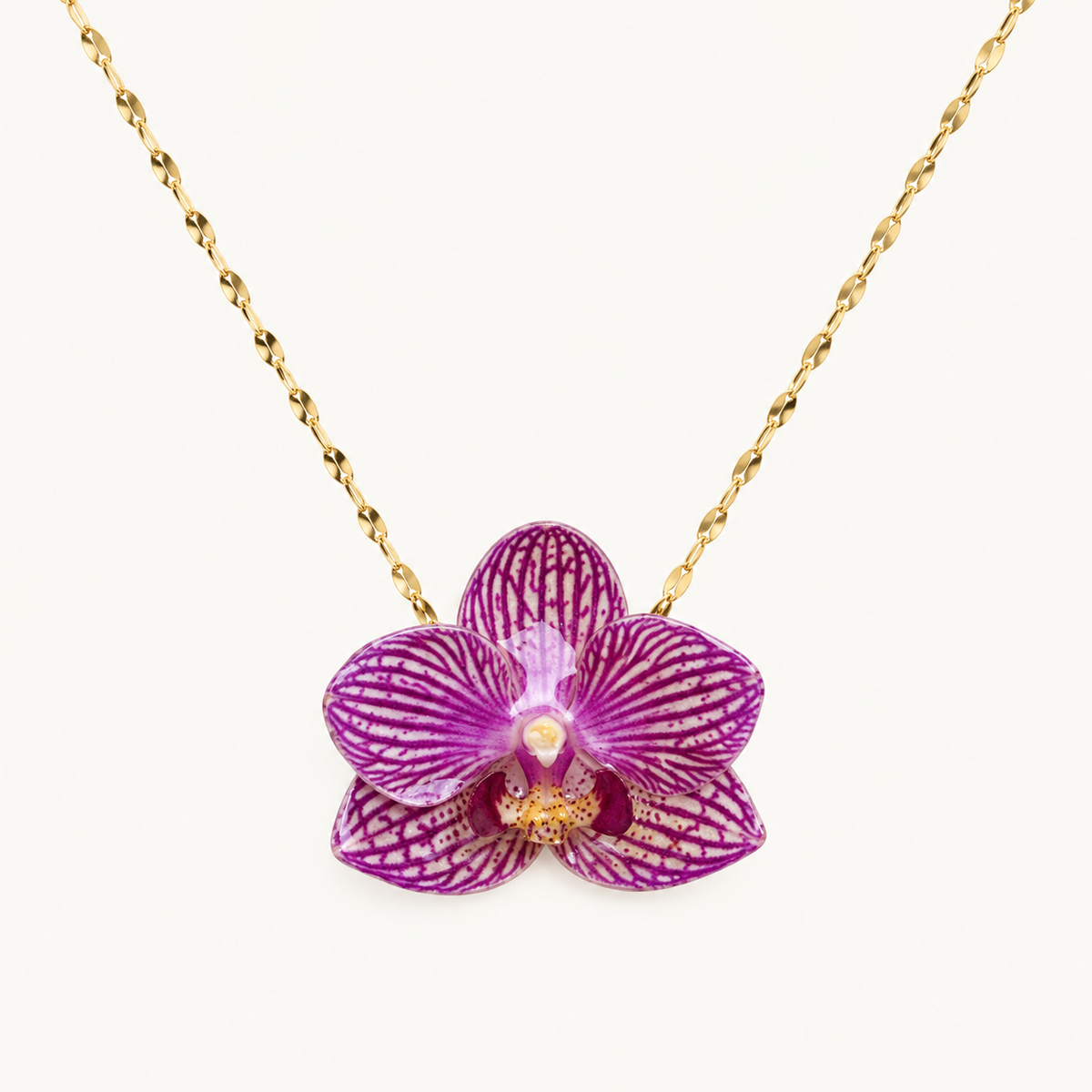 Collar orquídea Phalaenopsis