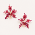 Topos Odontoglossum