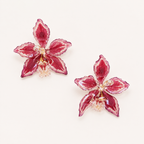Topos Odontoglossum