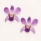 Topos Dendrobium