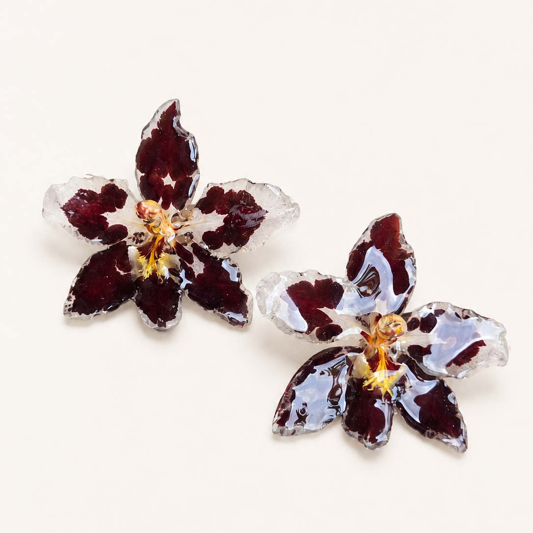 Topos orquídeas Odontoglossum