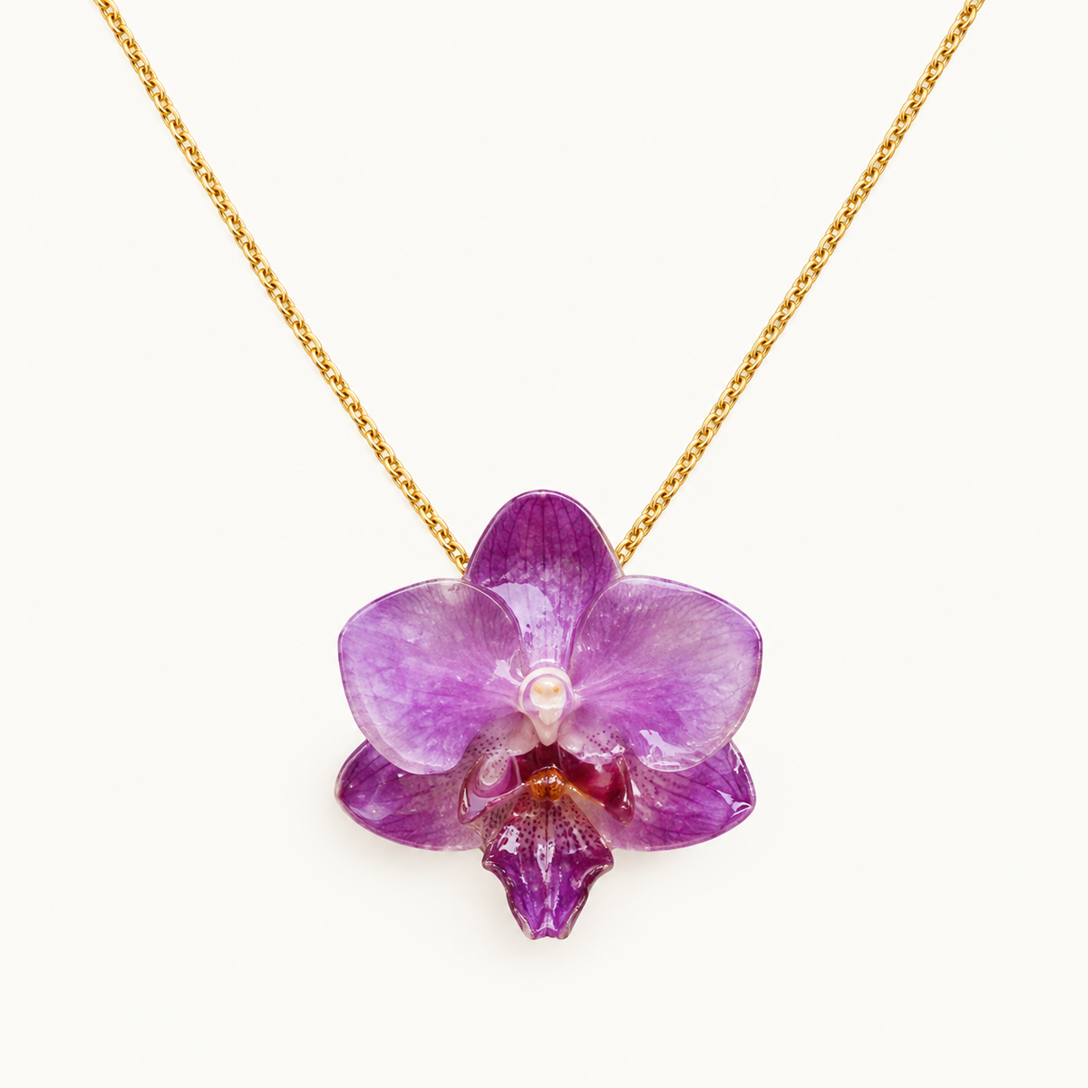 Collar orquídea Phalaenopsis