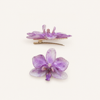 Pinza orquídea Phalaenopsis