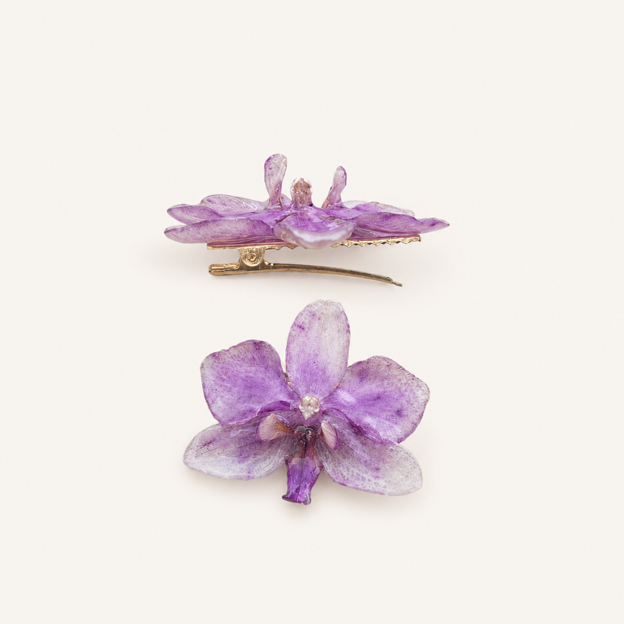 Pinza orquídea Phalaenopsis