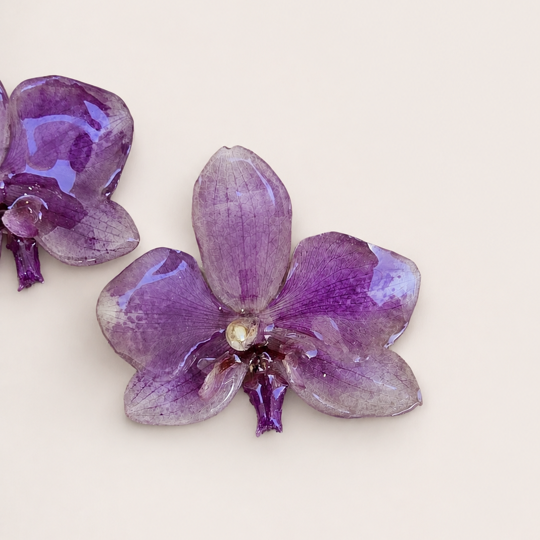 Topos orquídea Phalaenopsis