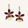Topos orquídea Colmanara