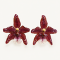 Topos orquídeas Odontoglossum