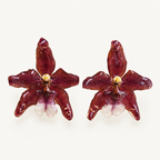 Topos orquídeas Odontoglossum