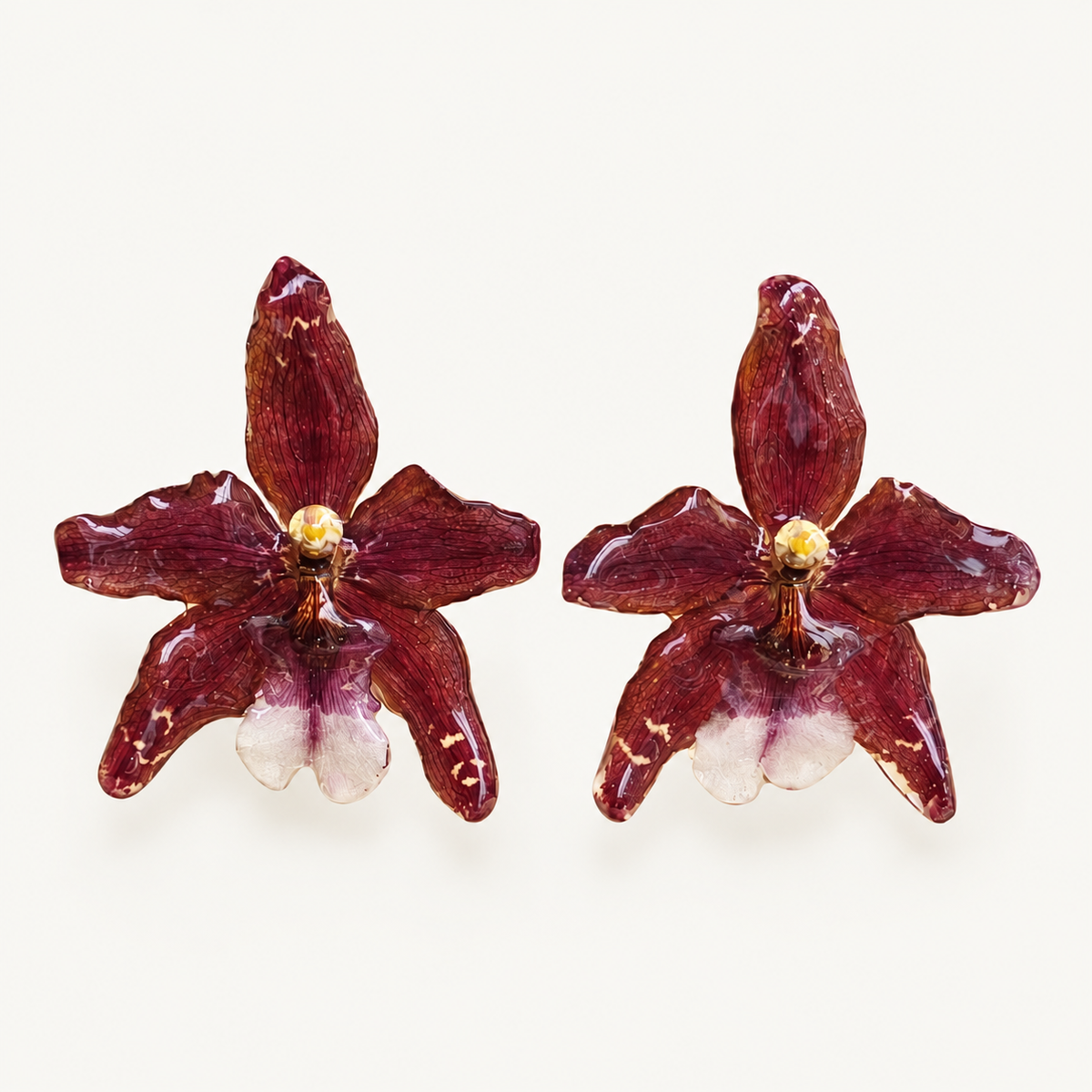 Topos orquídeas Odontoglossum