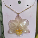Collar mini phalaenopsis