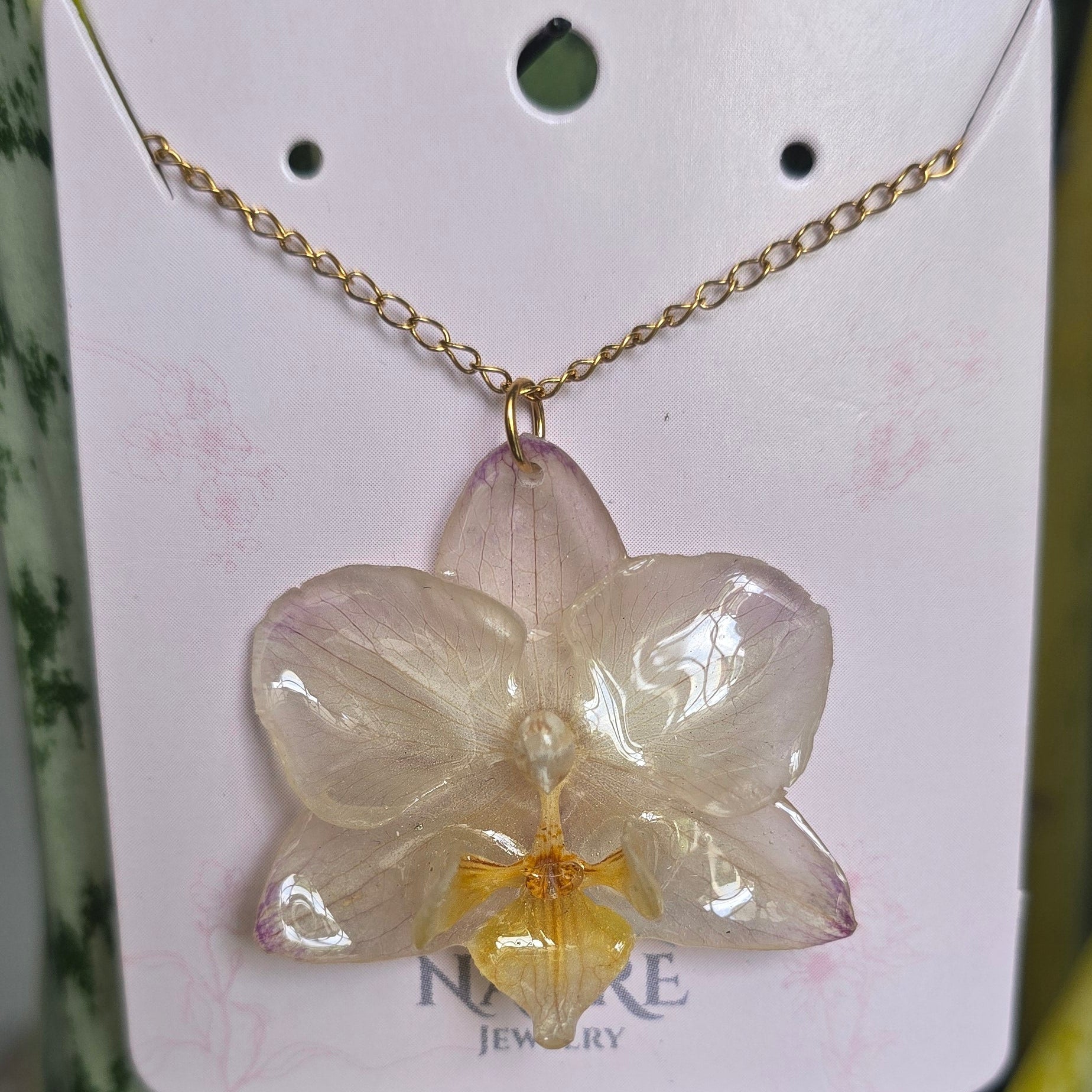Collar mini phalaenopsis