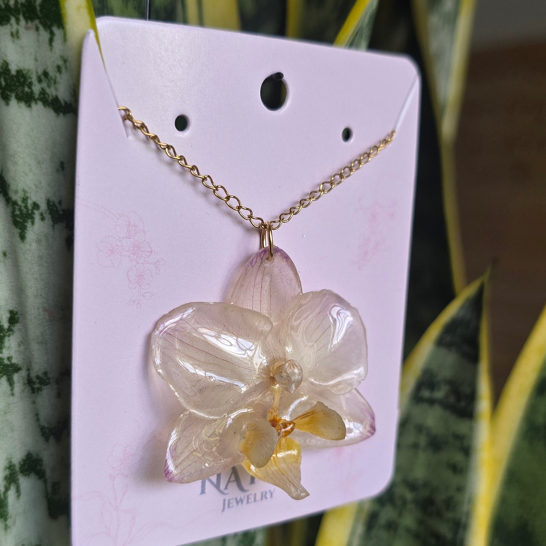 Collar mini phalaenopsis