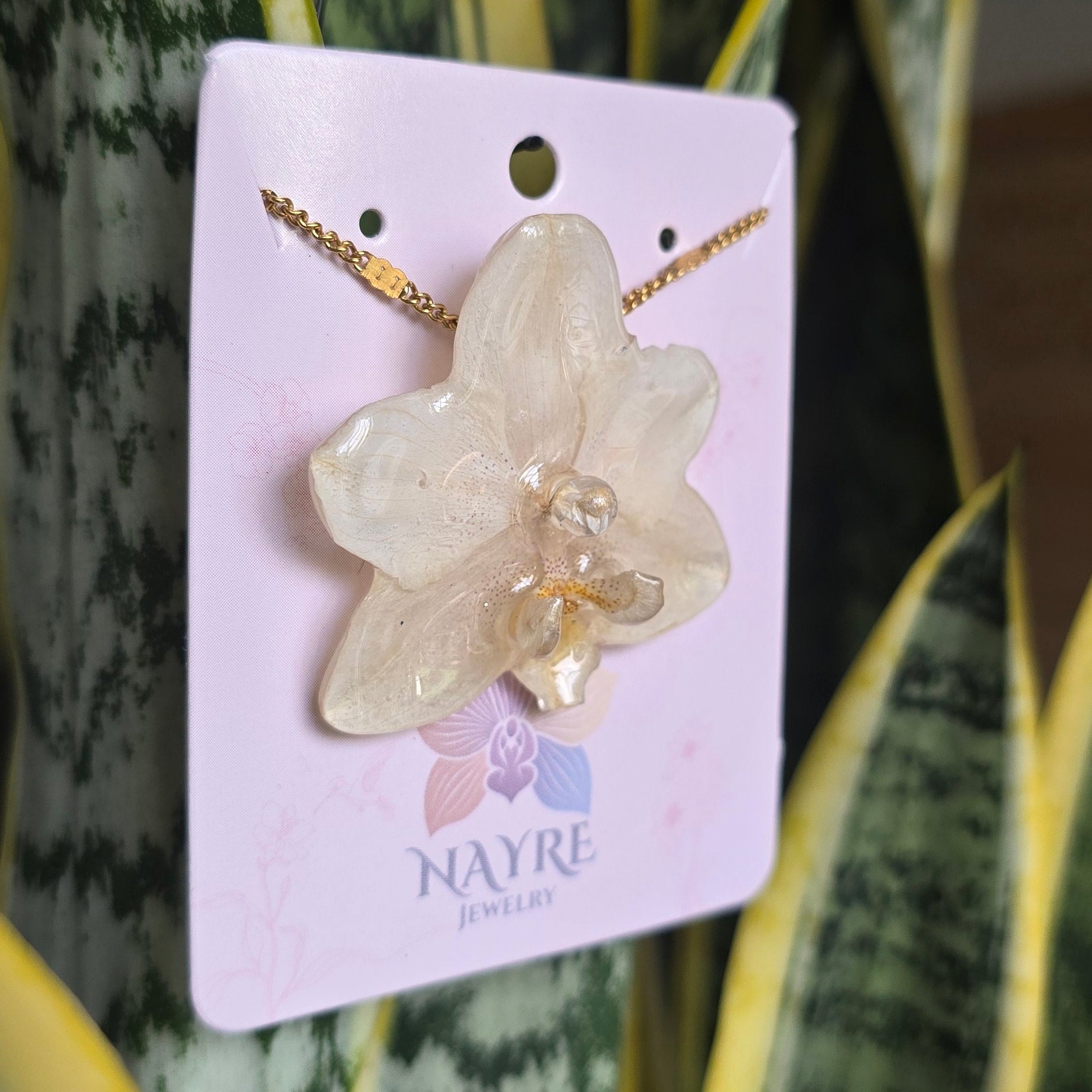 Collar de orquídea Phalaenopsis mini