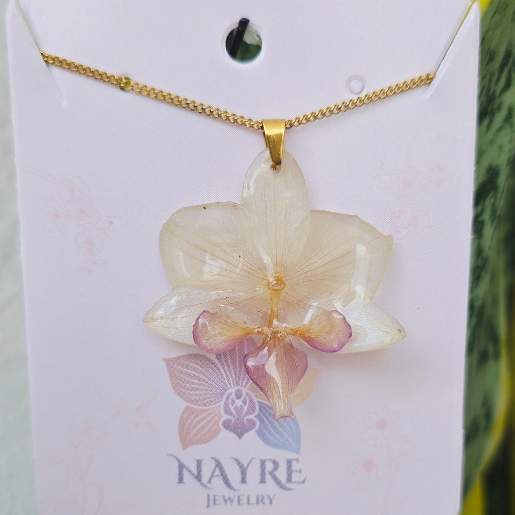 Collar de orquídea Phalaenopsis mini