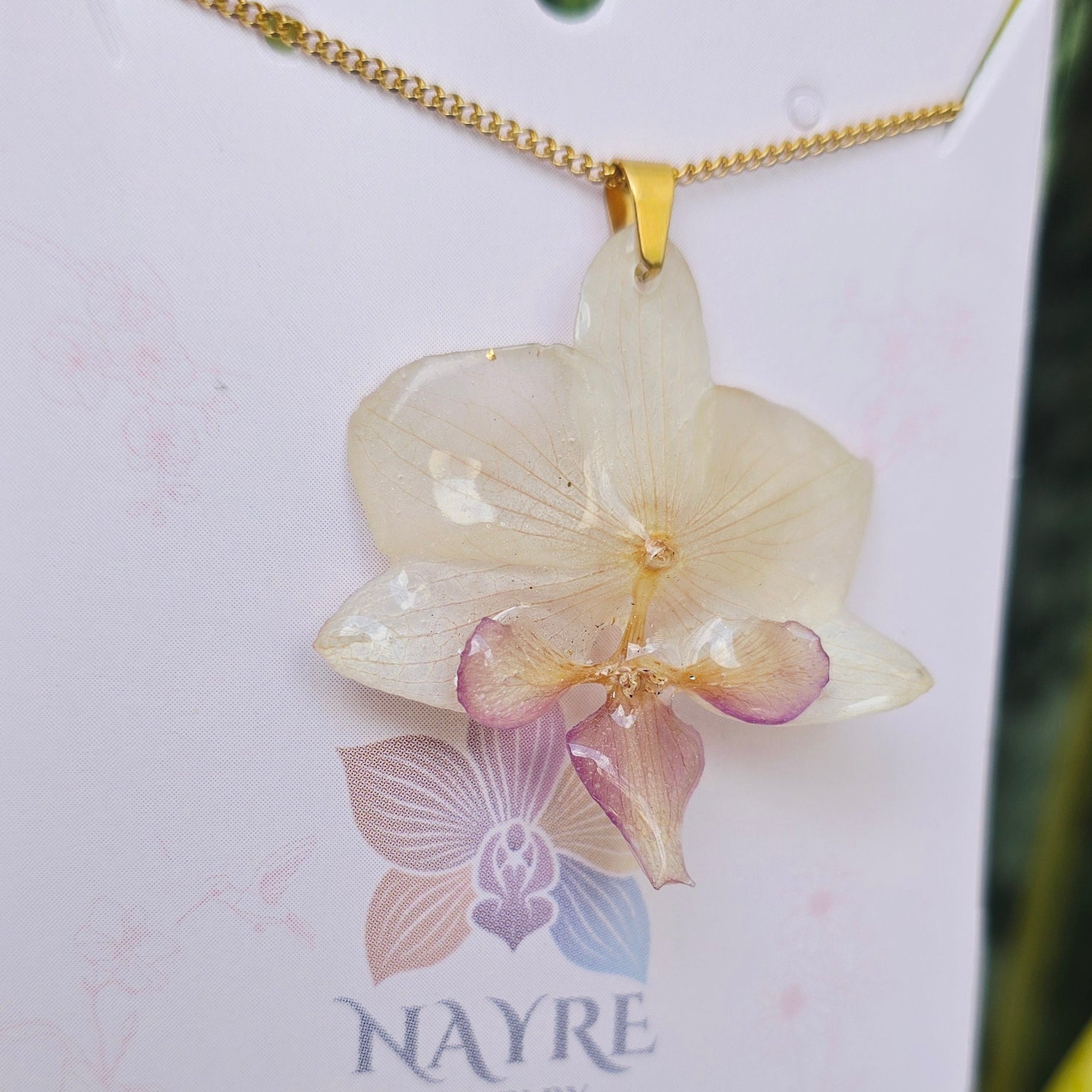 Collar de orquídea Phalaenopsis mini