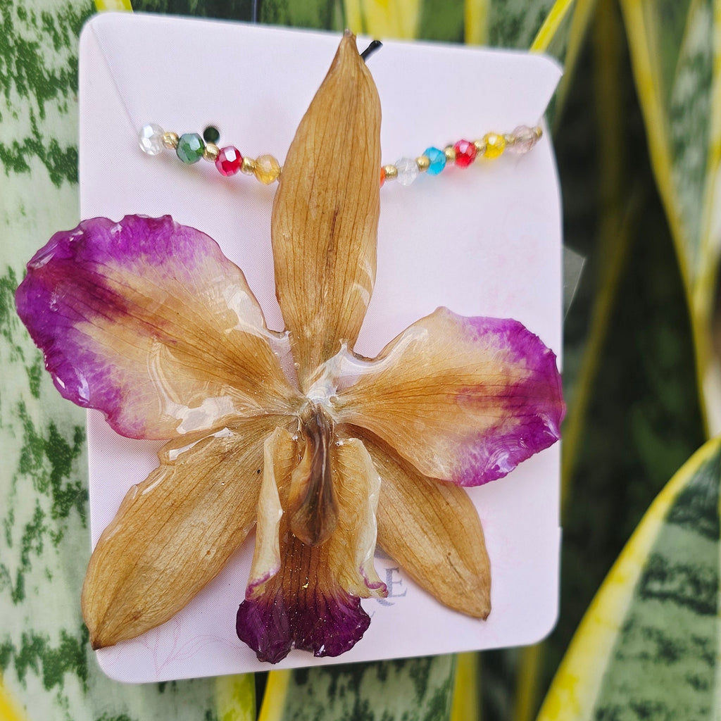Collar orquídea híbrido Cattleya