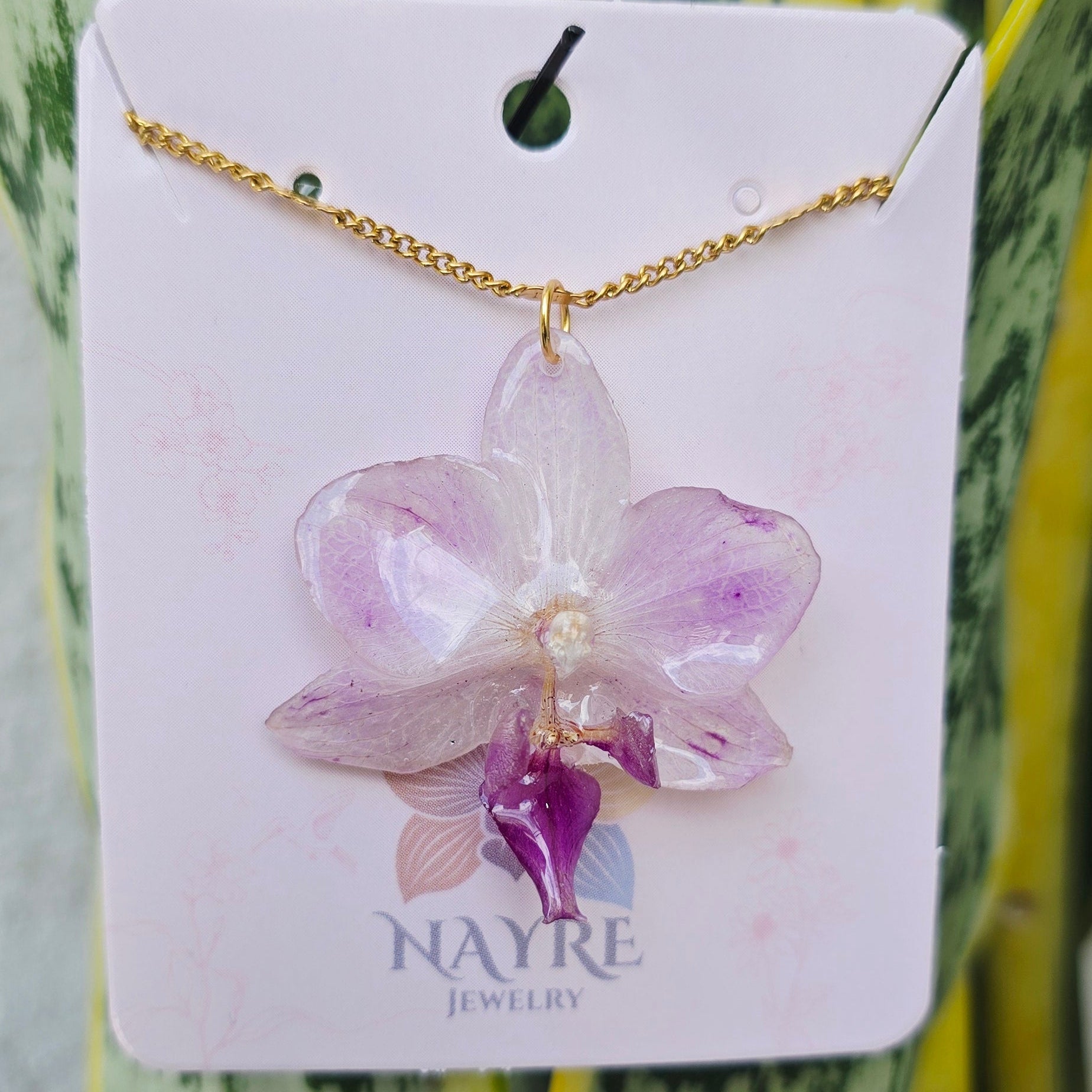 Collar de orquídea Phalaenopsis mini