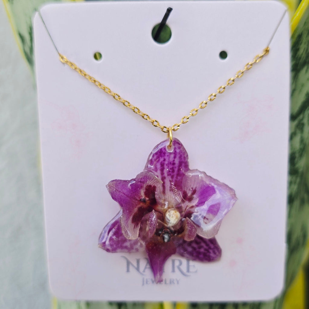 Collar de orquídea Phalaenopsis mini