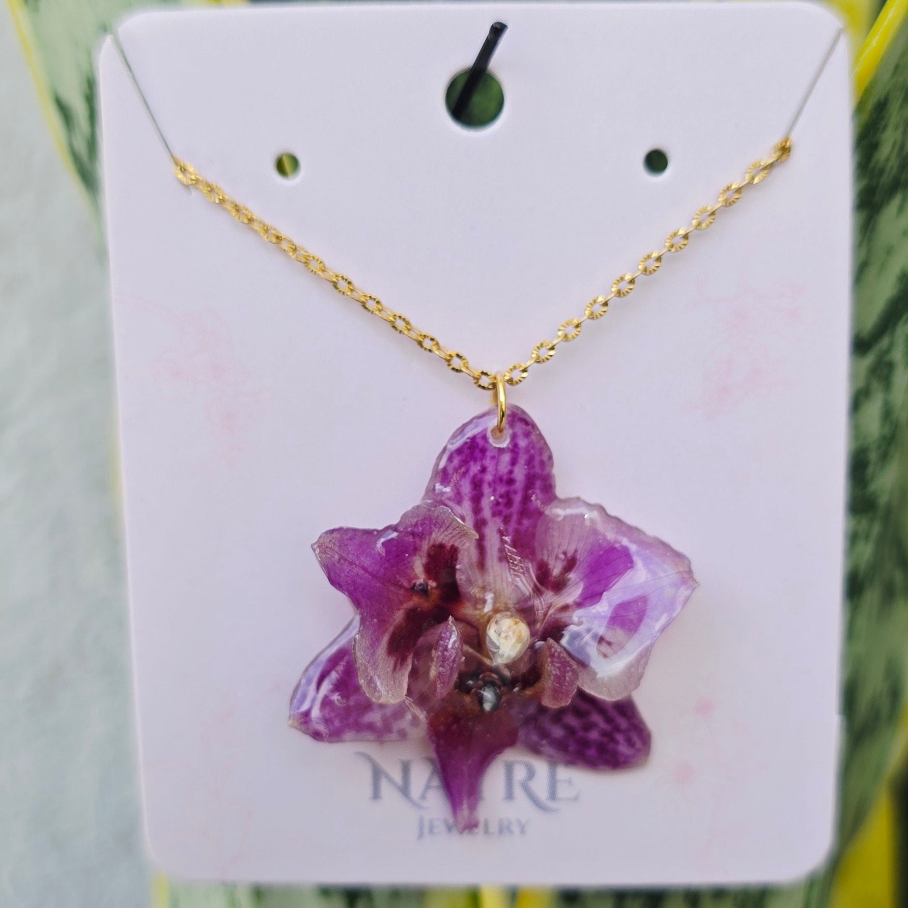 Collar de orquídea Phalaenopsis mini