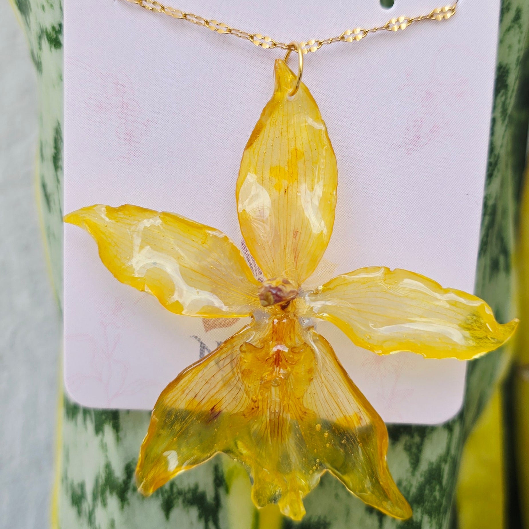 Collar orquídea Odontoglossum