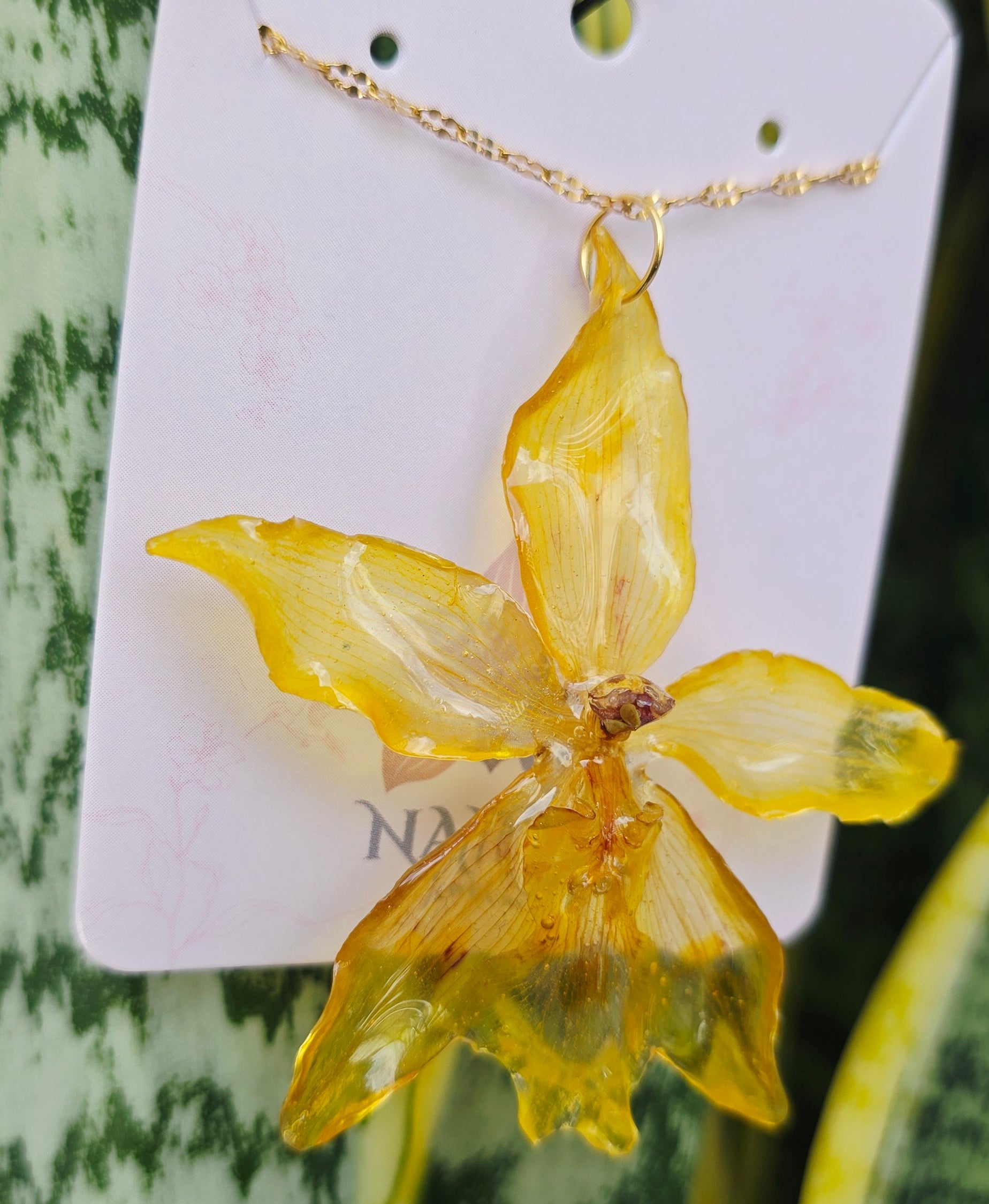 Collar orquídea Odontoglossum