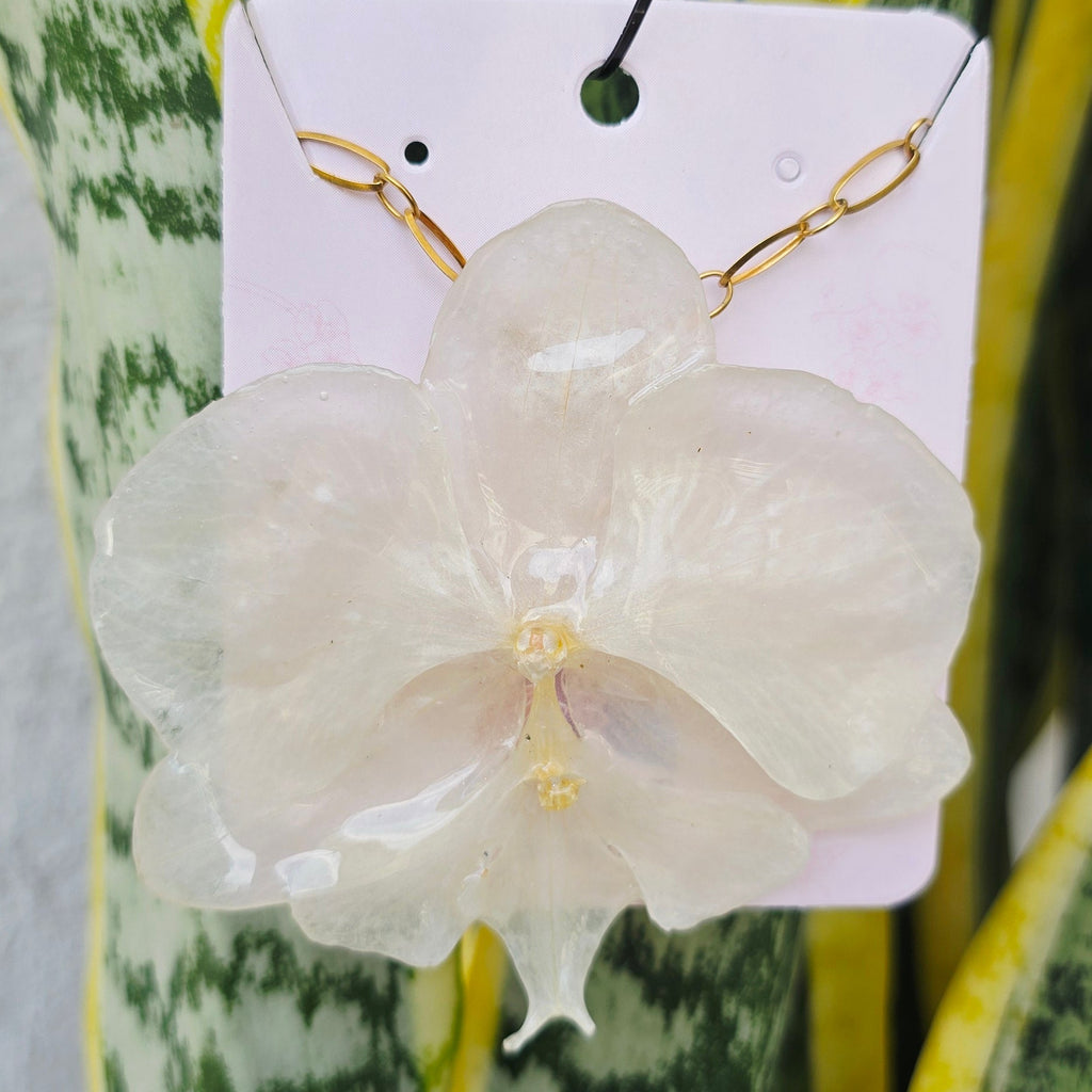 Collar orquídea Phalaenopsis