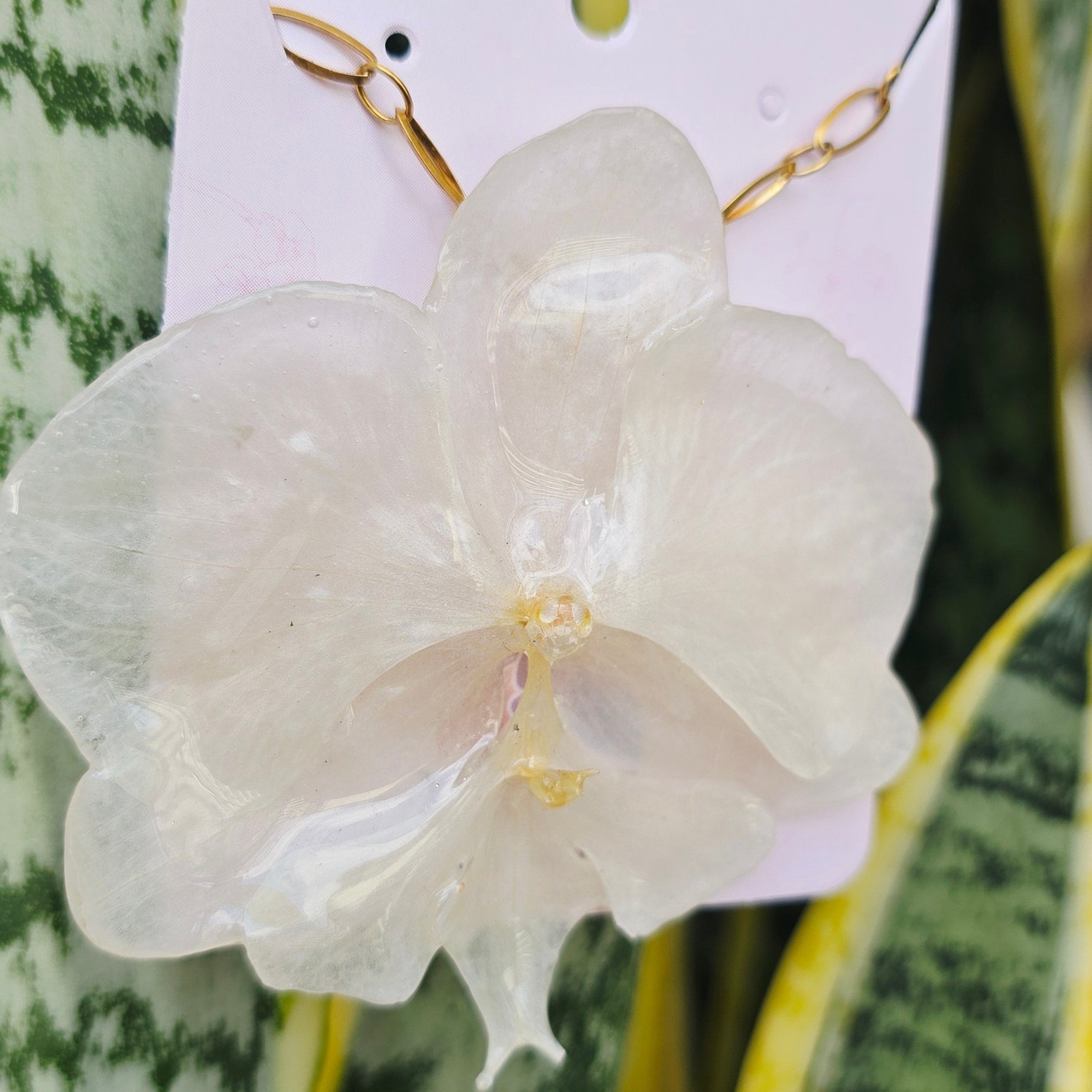 Collar orquídea Phalaenopsis