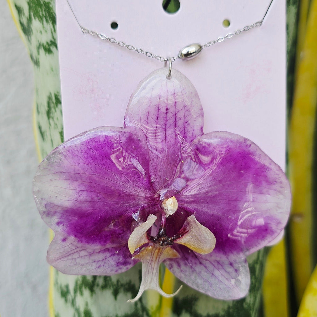 Collar orquídea Phalaenopsis