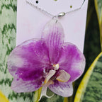 Collar orquídea Phalaenopsis