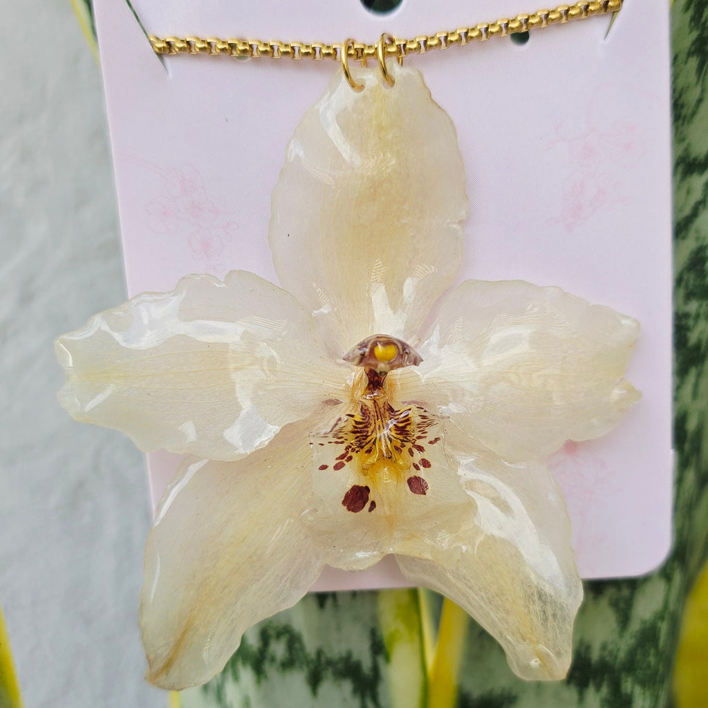 Collar orquídea Odontoglossum