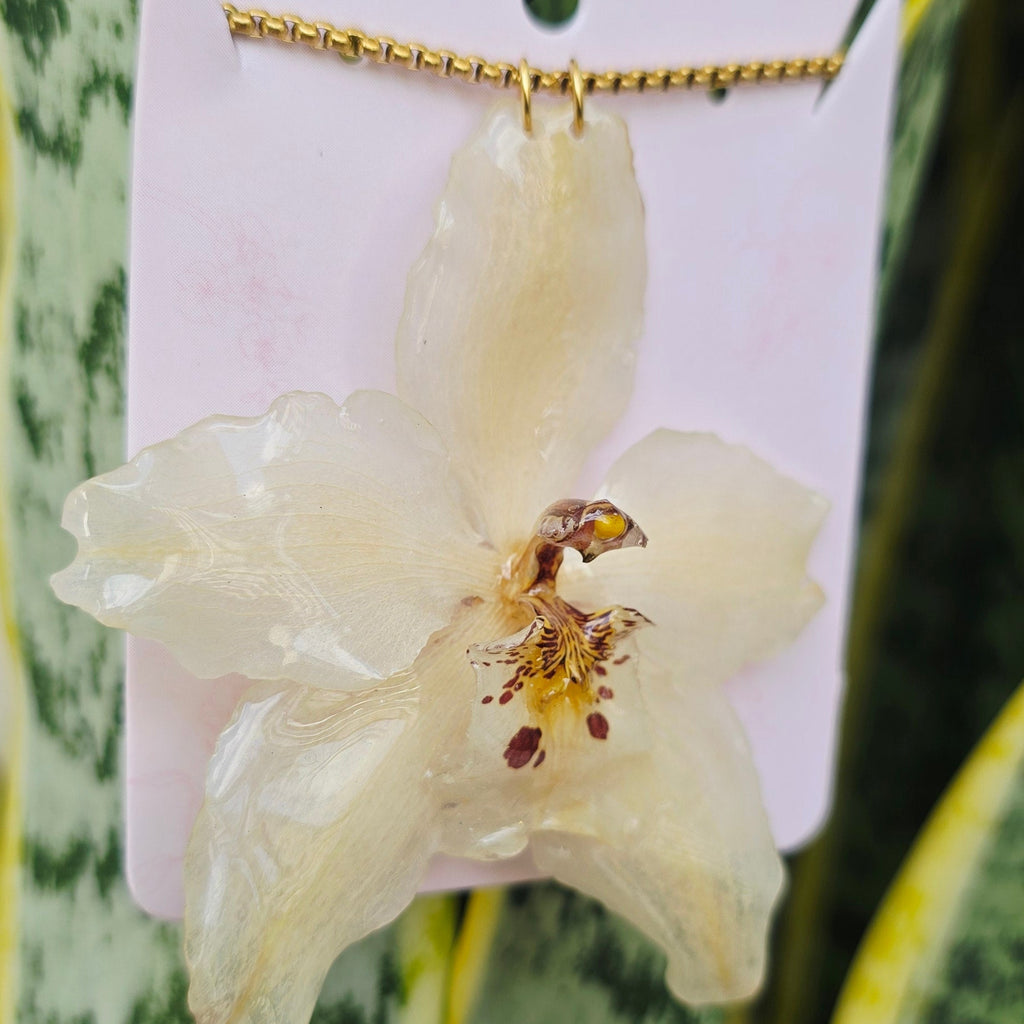 Collar orquídea Odontoglossum