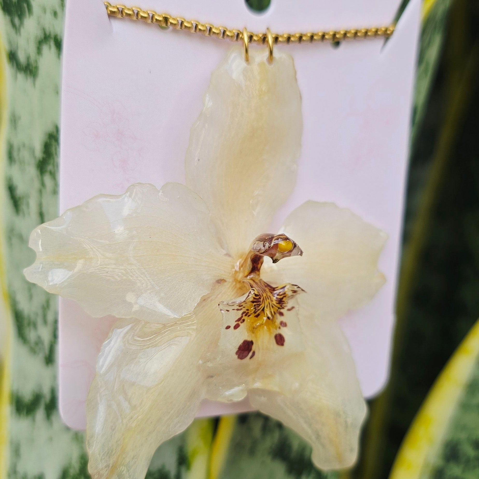 Collar orquídea Odontoglossum