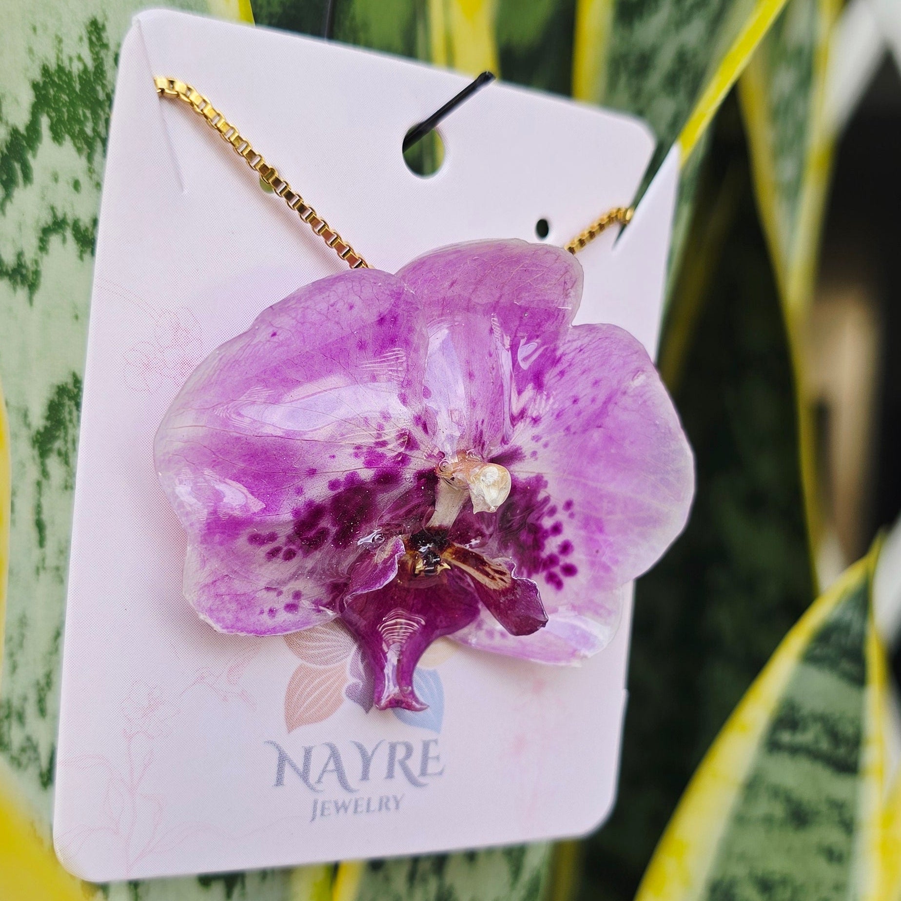 Collar orquídea Phalaenopsis