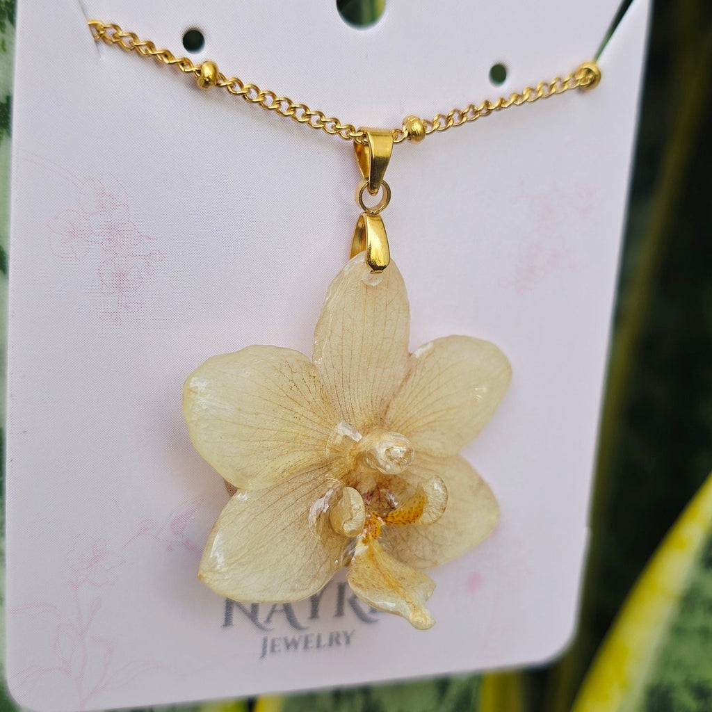 Collar orquídea Phalaenopsis
