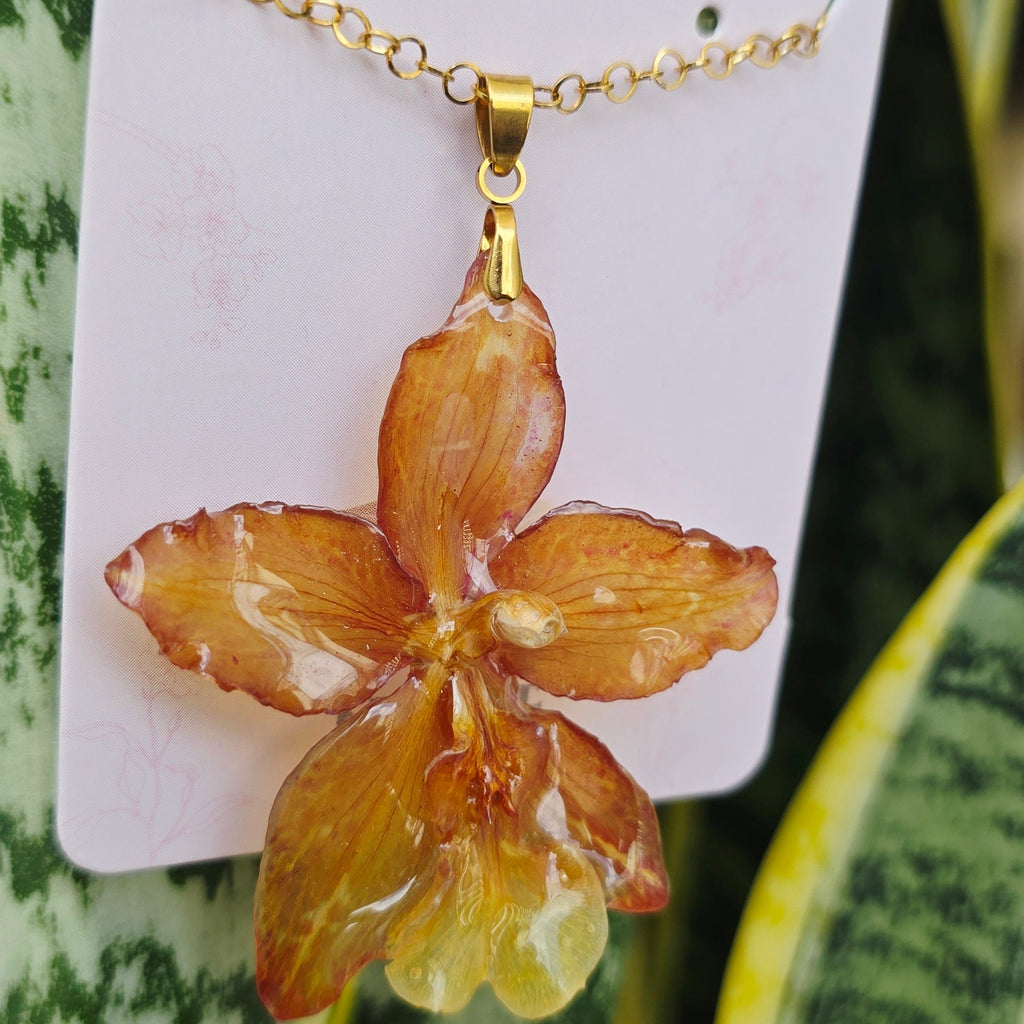 Collar orquídea Odontoglossum