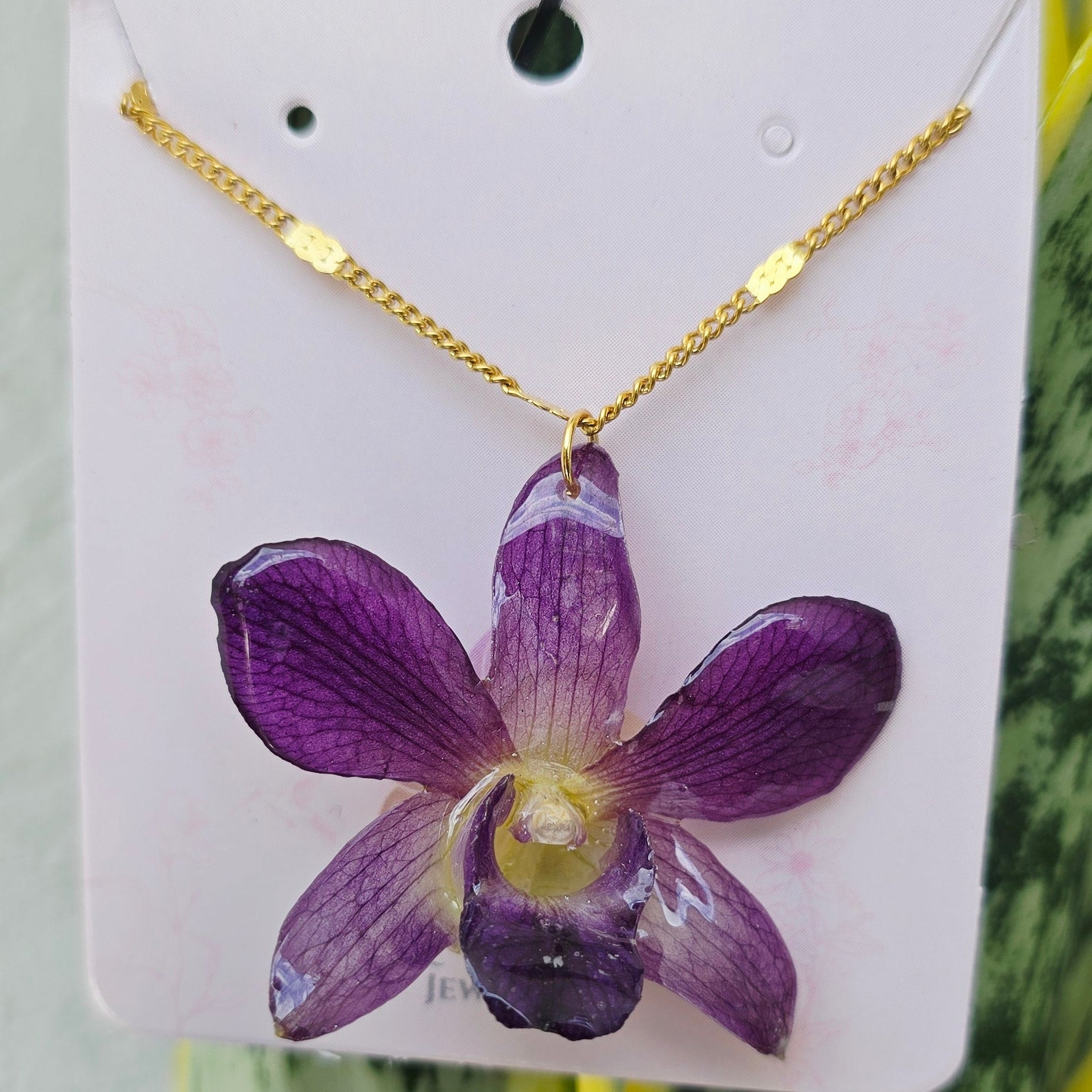 Orquídea Dendrobium